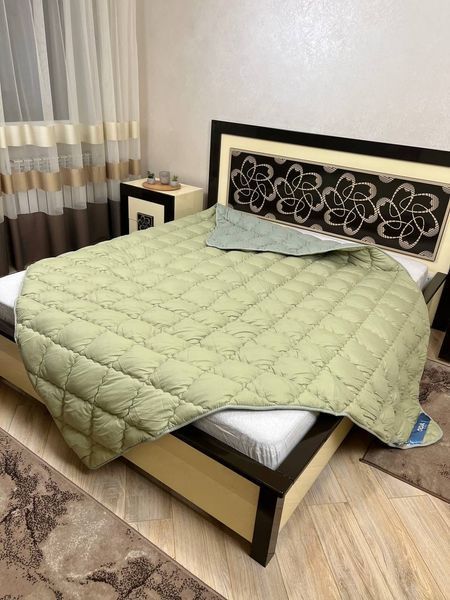 Тепла ковдра ODA 175х210 см двоспальна оливкова ODA-5253 - 2.0	 фото