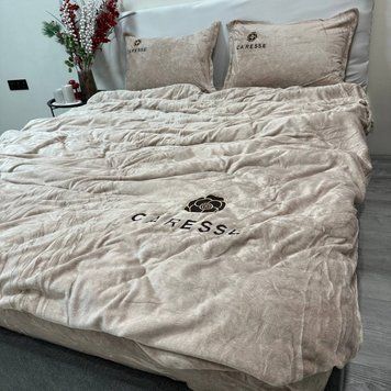 Тепла велюрова Євро постільна білизна Caresse бежева RM-2324-EU фото