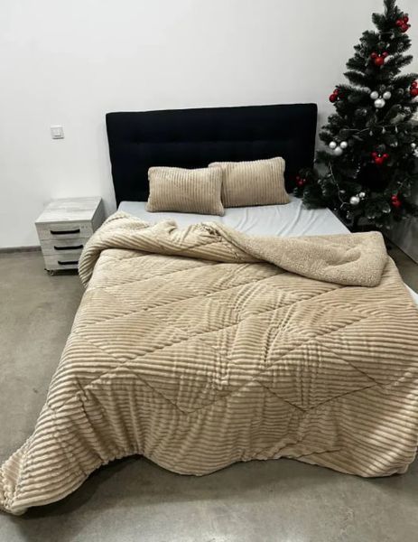 Ковдра 200х230 тепла плюш/овчинка 350 г/м&sup2; (Бежевий) Cap-023-2 фото