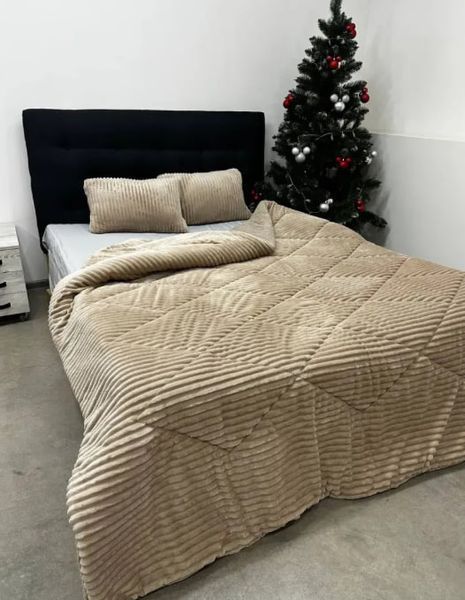 Ковдра 200х230 тепла плюш/овчинка 350 г/м&sup2; (Бежевий) Cap-023-2 фото