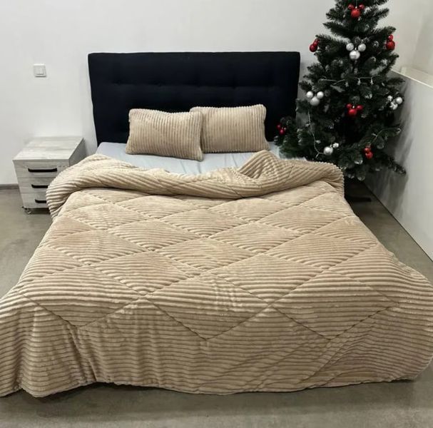 Ковдра 200х230 тепла плюш/овчинка 350 г/м&sup2; (Бежевий) Cap-023-2 фото